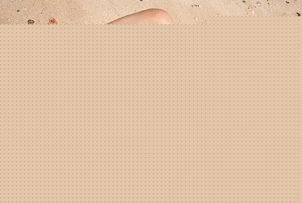 浅见伶奈(Reina Asami)高清Asami Reina《Be Natural》集图册