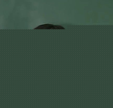 朴京琳(Park Kyung-lim)朴京林图册