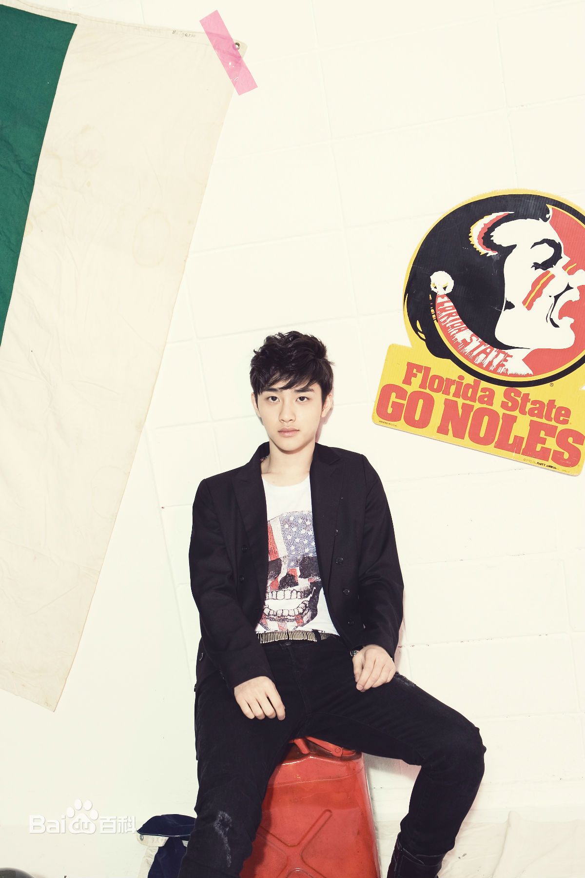 都敬秀(（韩文名）、Doh Kyungsoo、D.O.（官方艺名）、都暻秀（曾用名）、度庆洙（误译）)精选杂志/代言图册