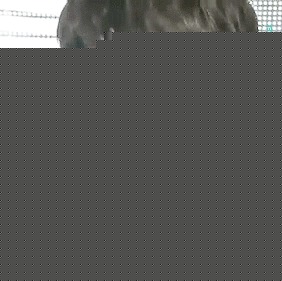 都敬秀(（韩文名）、Doh Kyungsoo、D.O.（官方艺名）、都暻秀（曾用名）、度庆洙（误译）)动图合集生活照相册