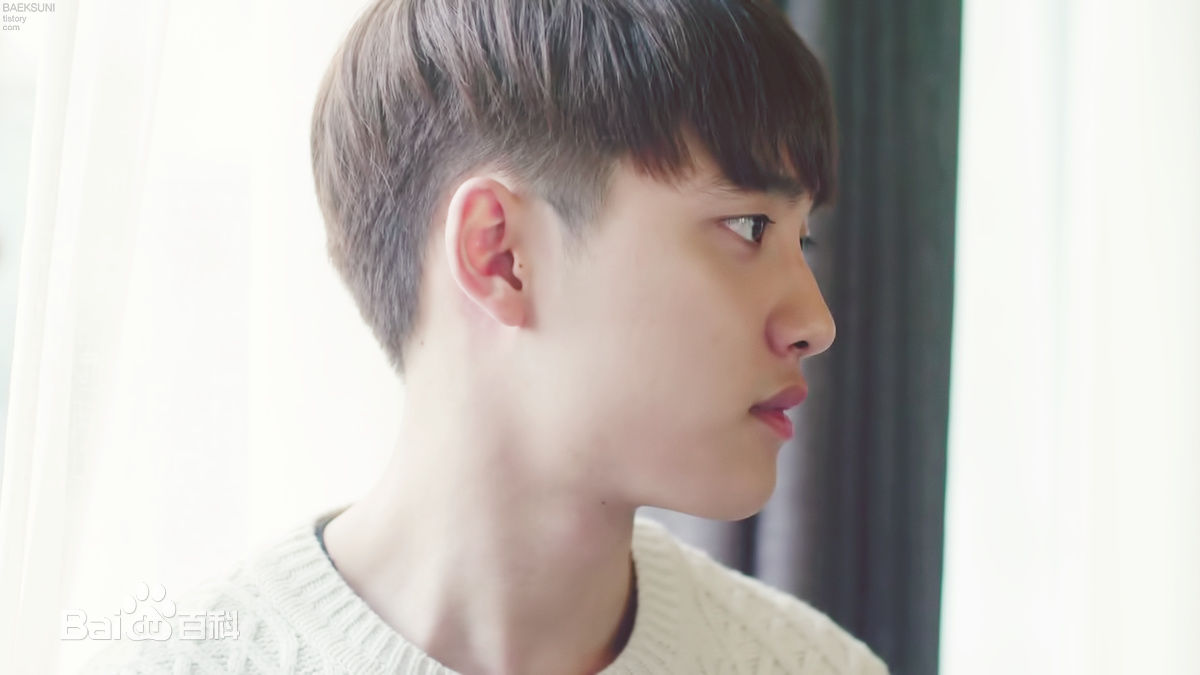 都敬秀(（韩文名）、Doh Kyungsoo、D.O.（官方艺名）、都暻秀（曾用名）、度庆洙（误译）)在网络剧-《我的邻居是EXO》图册中的