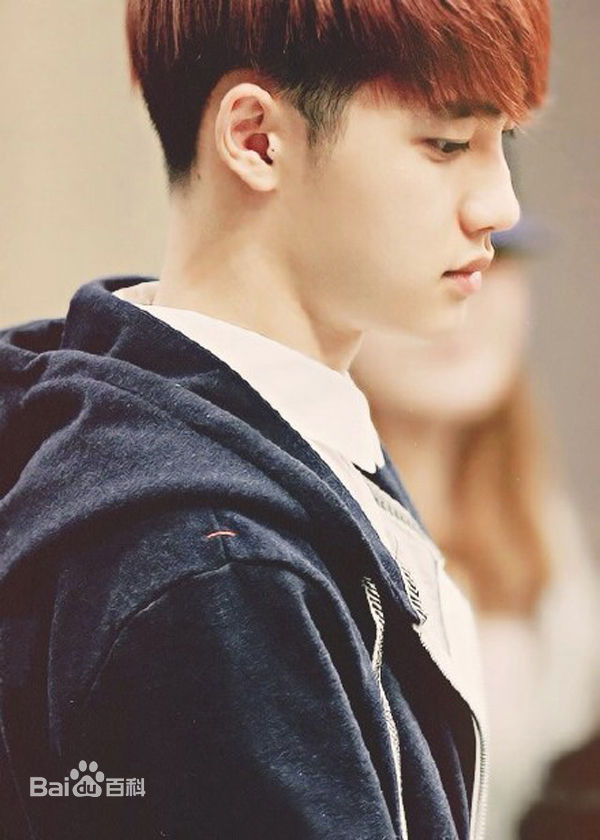 都敬秀(（韩文名）、Doh Kyungsoo、D.O.（官方艺名）、都暻秀（曾用名）、度庆洙（误译）)饭制1壁纸壁纸