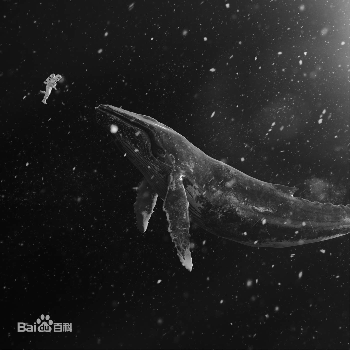 都敬秀(（韩文名）、Doh Kyungsoo、D.O.（官方艺名）、都暻秀（曾用名）、度庆洙（误译）)前后照片