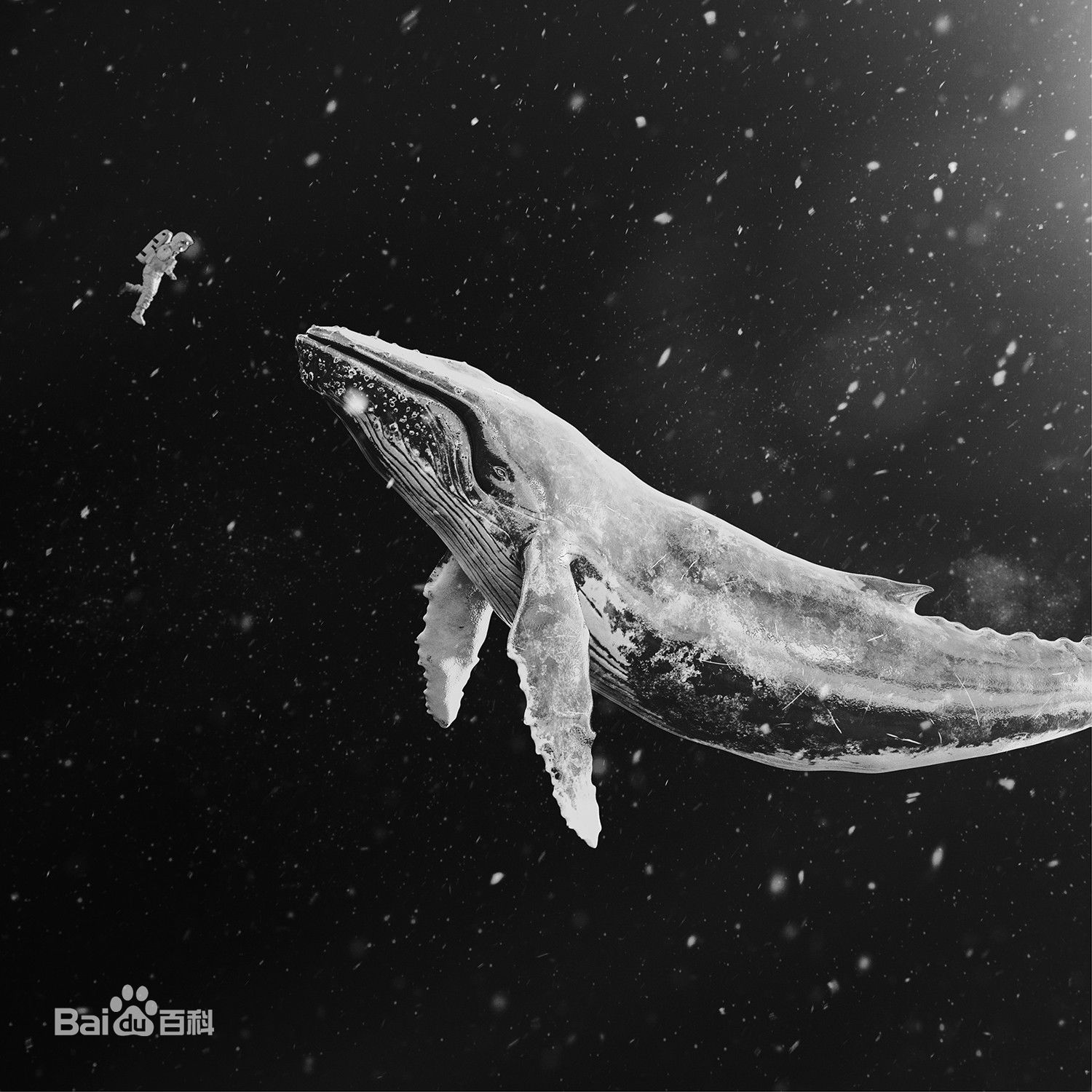 都敬秀(（韩文名）、Doh Kyungsoo、D.O.（官方艺名）、都暻秀（曾用名）、度庆洙（误译）)前后照片