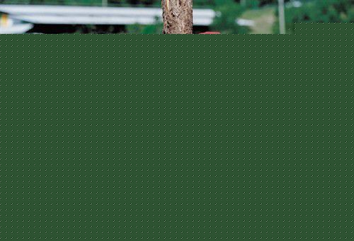 朱玄的作品生活照相册