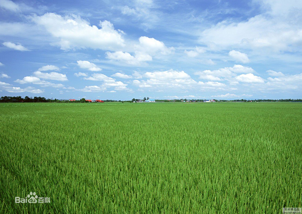 最优质李在恩生活照