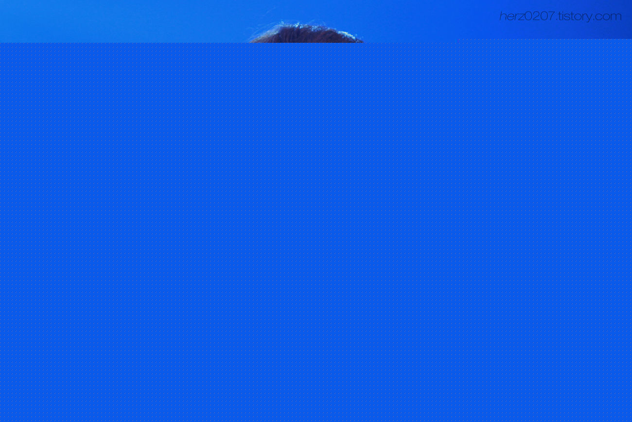 李准（本名李昌宣/李昶瑄）(Lee Joon)MBLAQ演唱会壁纸壁纸