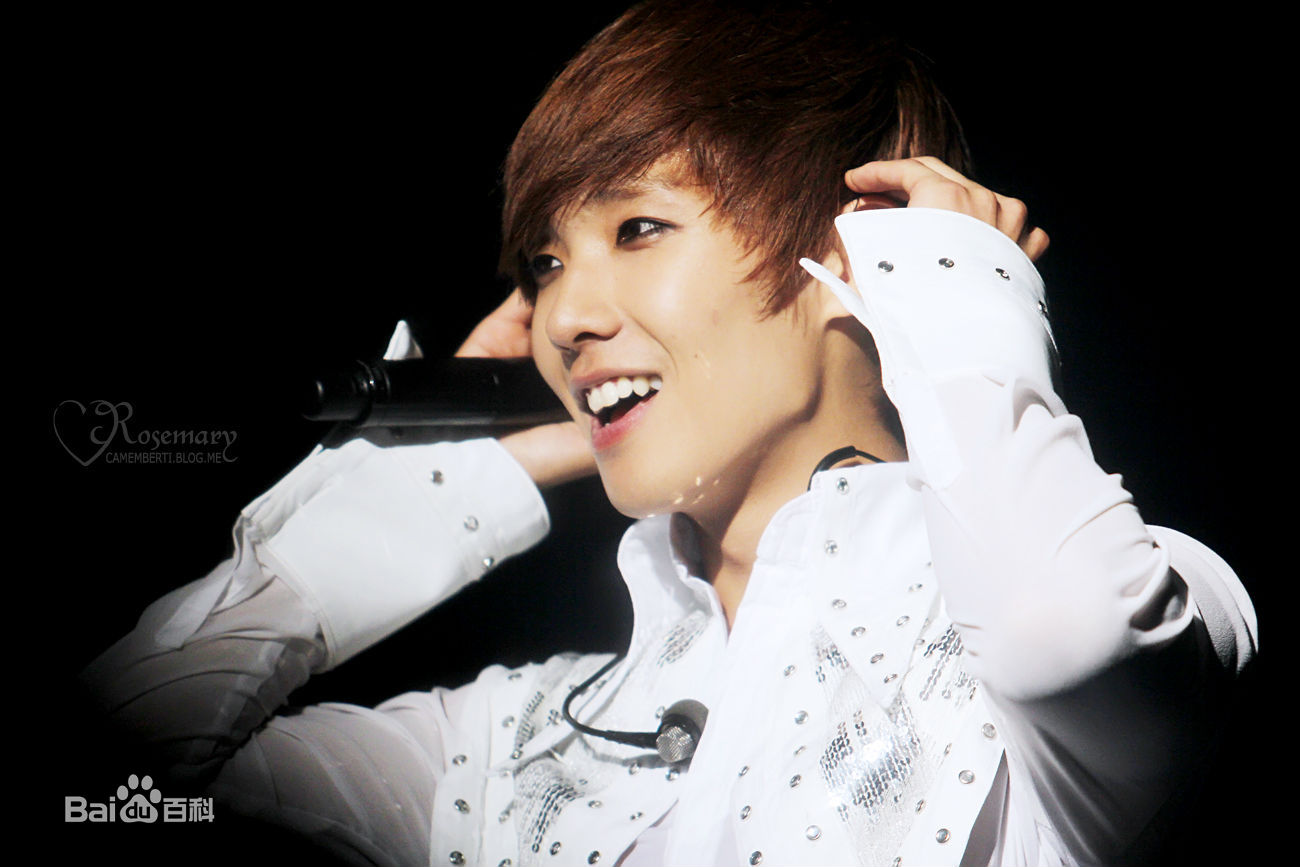 李准（本名李昌宣/李昶瑄）(Lee Joon)MBLAQ演唱会壁纸壁纸