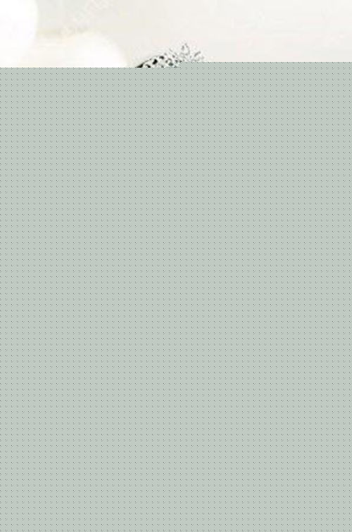 最优质李世恩(/Lee Se-Eun)精彩图册