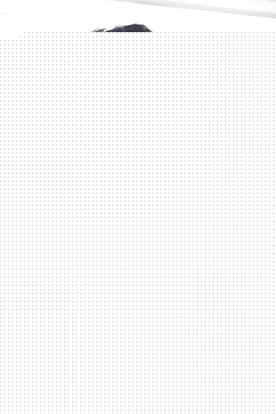 秋相美参与影视剧演出的壁纸壁纸