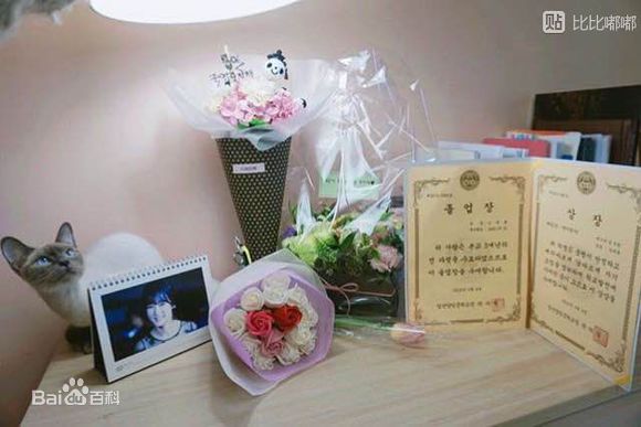 最新金赛纶(/Kim Sae ron)壁纸