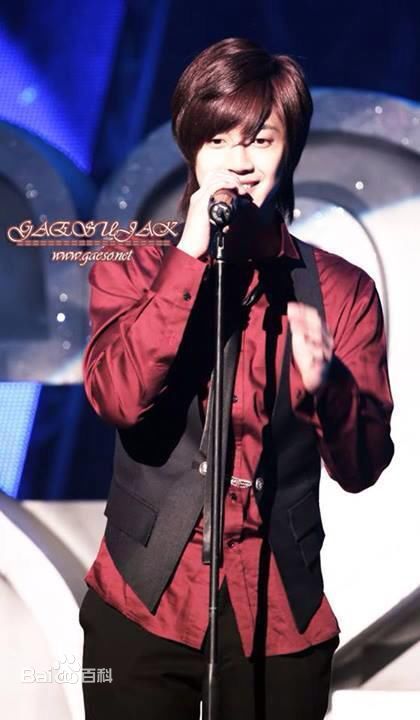 金贤重((韩)Kim Hyun Joong(英)キム·ヒョンジュン(日))出道早期图前后照片