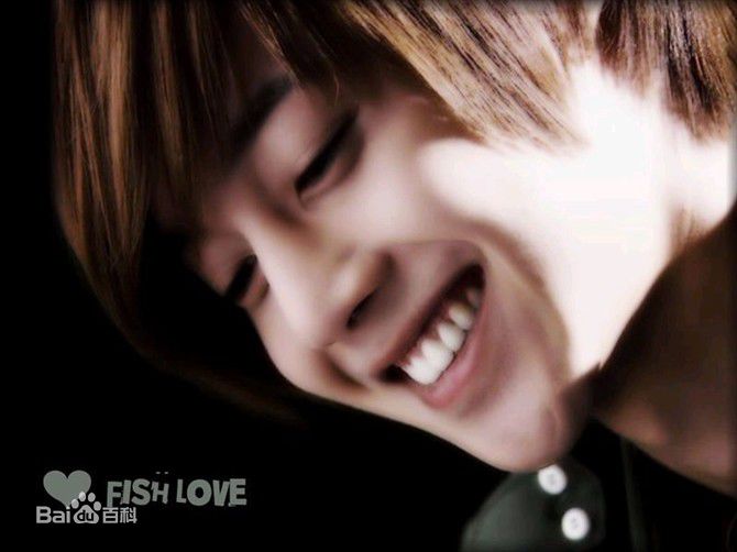 最优质金贤重((韩)Kim Hyun Joong(英)キム·ヒョンジュン(日))精彩图册