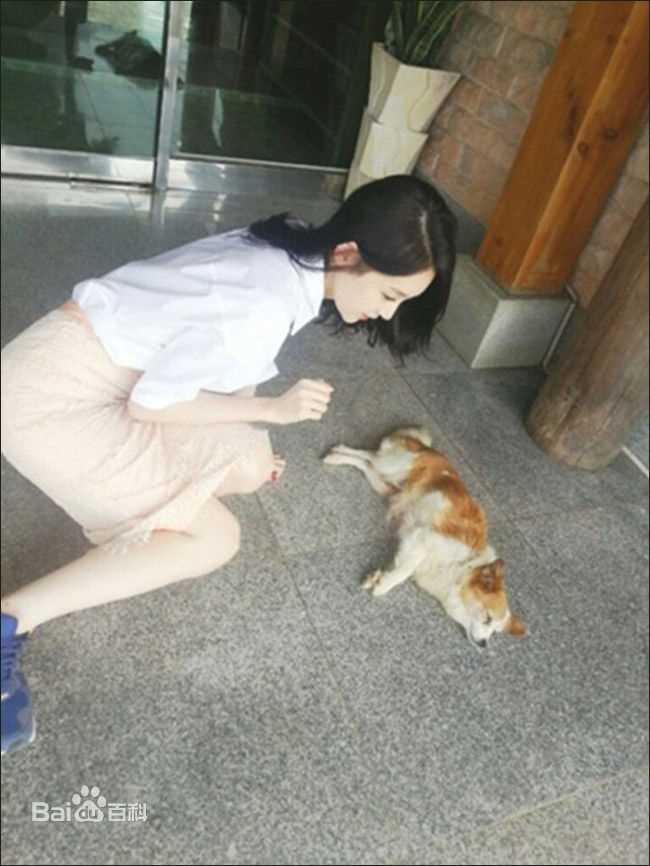 姜敏京(，Kang Min Kyung)电视剧-演员敏京性感图片壁纸