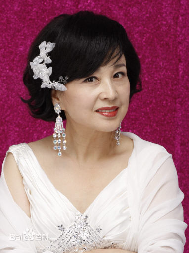 韩惠淑()的最全剧照