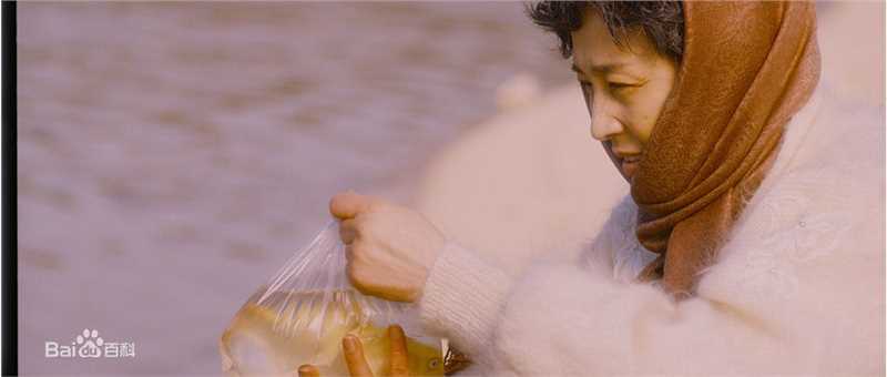 韩惠淑()的最全剧照