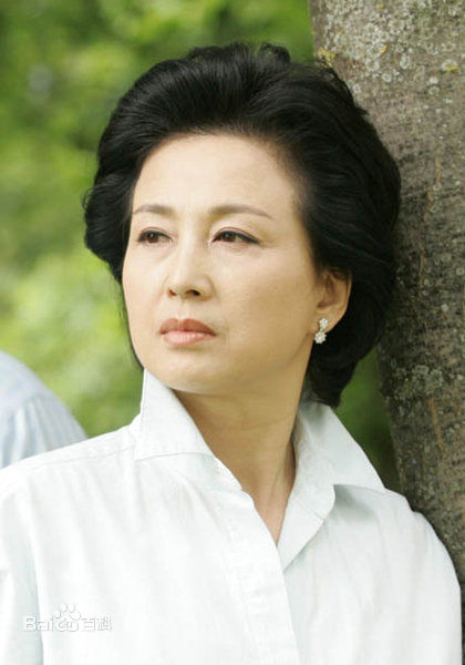 高清韩惠淑()图片