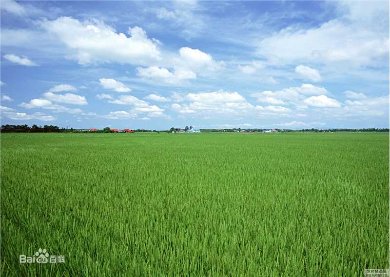 最优质韩惠淑()生活照