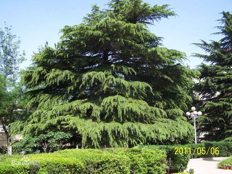 最优质韩惠淑()生活照