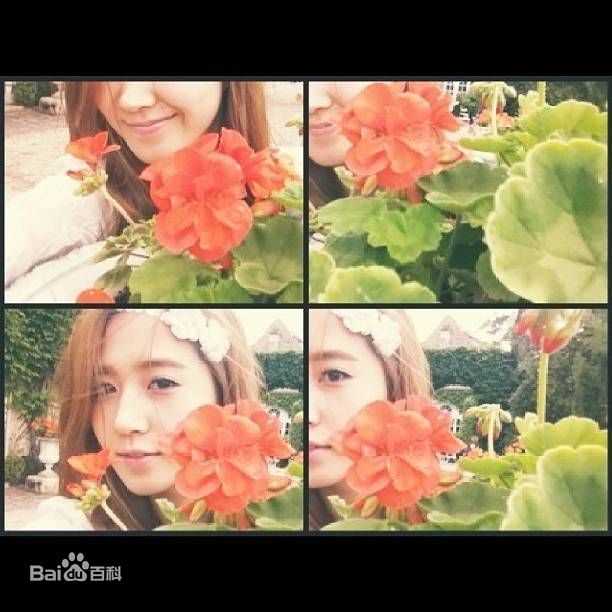 权俞利(，Kwon Yu Ri，クォンユリ)IG微博照片壁纸壁纸