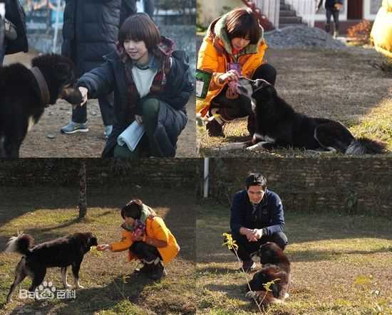 赵伦熙(，Cho Youn Hee)赵允熙热爱动物壁纸壁纸