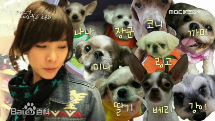 赵伦熙(，Cho Youn Hee)赵允熙热爱动物壁纸壁纸