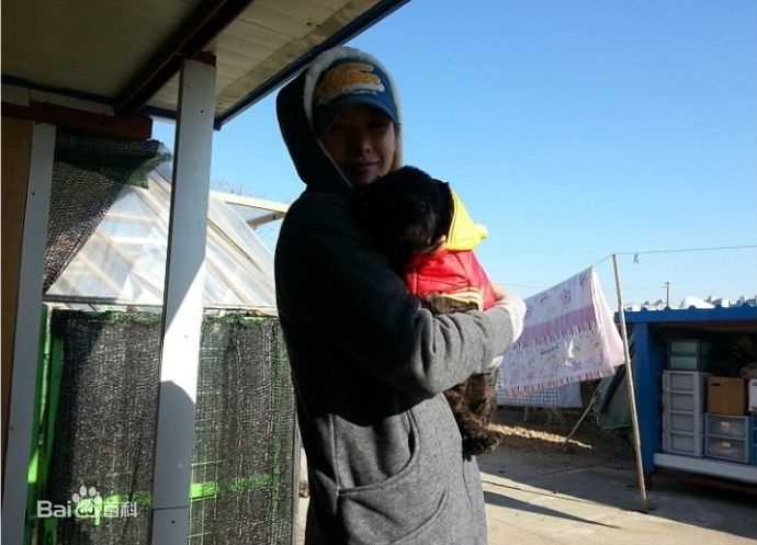 赵伦熙(，Cho Youn Hee)赵允熙热爱动物壁纸壁纸