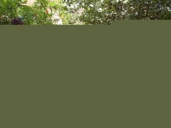 洪恩熙(洪银姬（本名）、Hong Eun-Hee)影视最新剧照