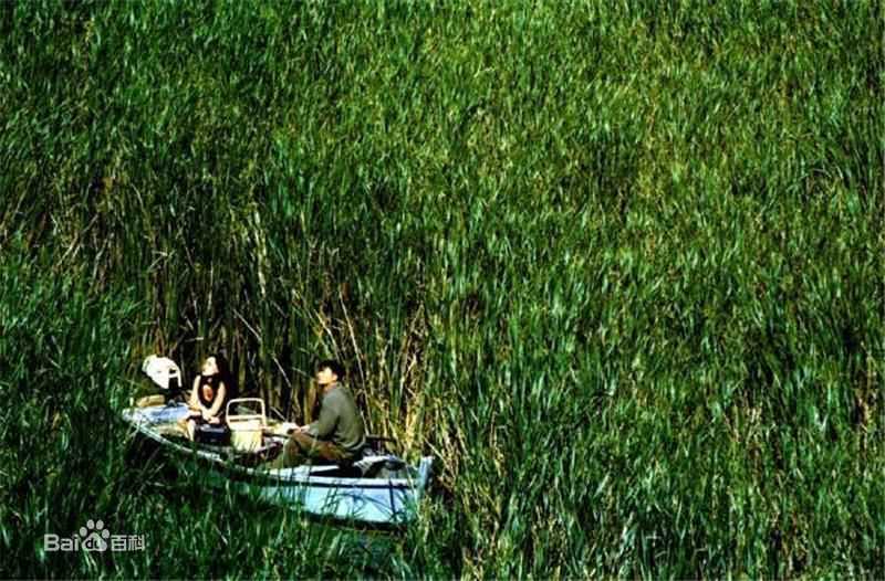 高清徐情(Seo Jeong)在《漂流欲室》中的图集