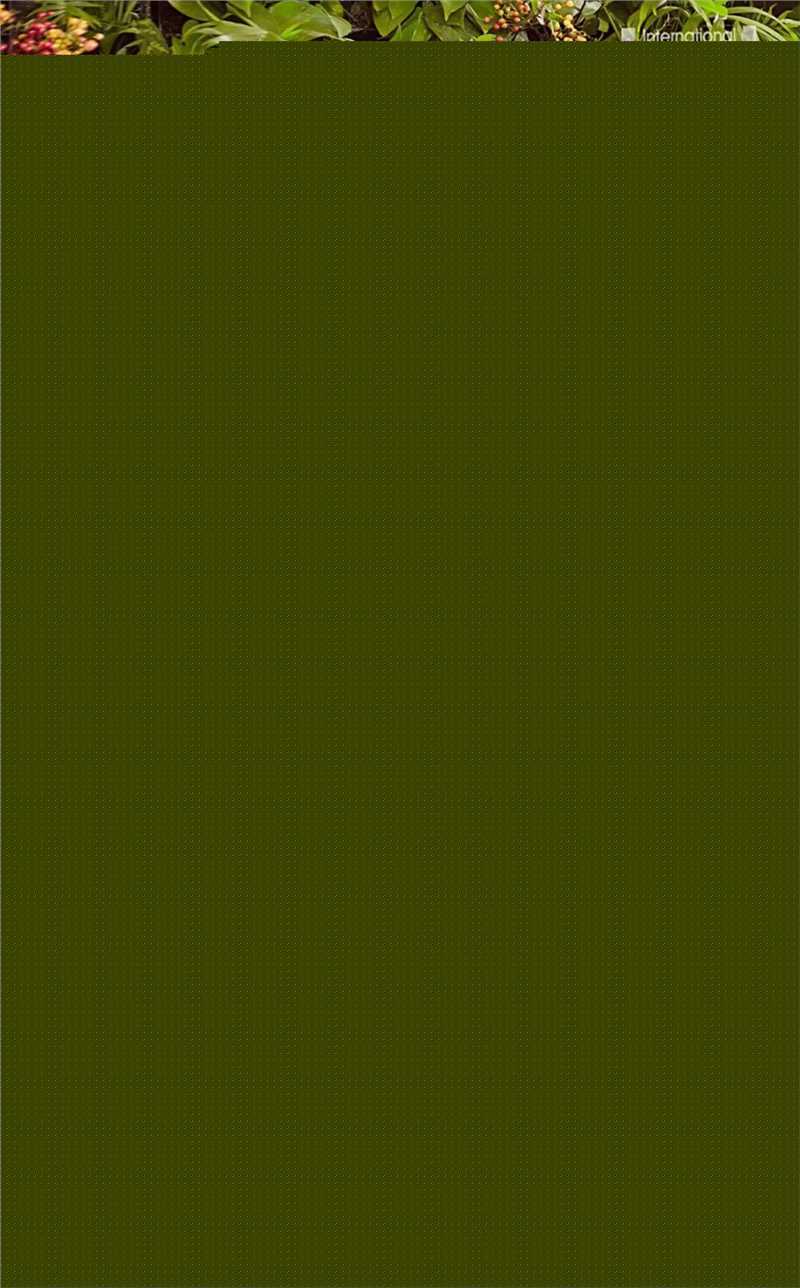 金旼序(Kim Min Seo)最全杂志壁纸