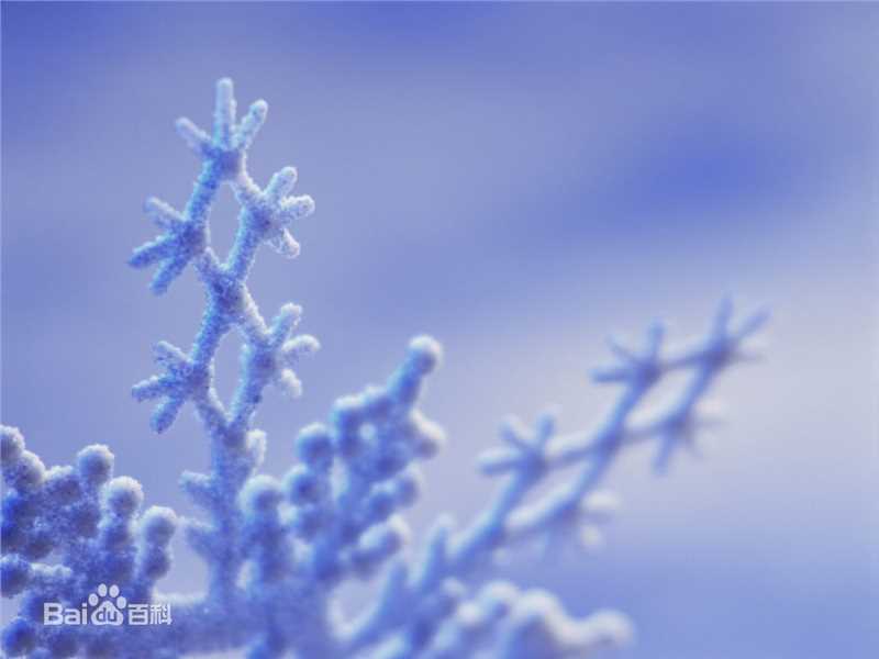 高清赵珉基( Cho Min Ki)性感图片