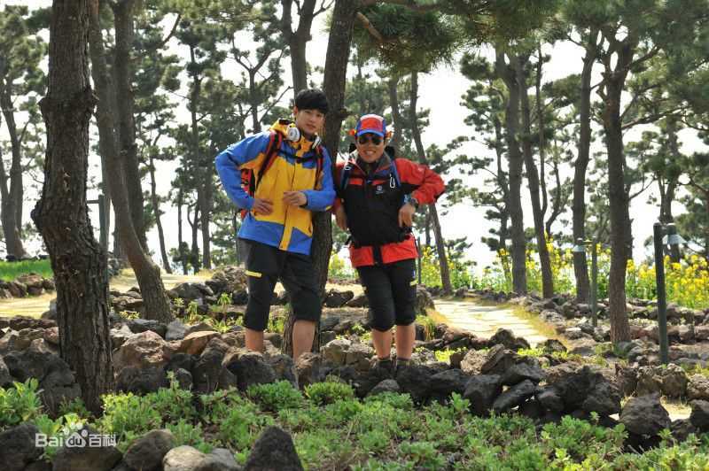 最优质郑恩表()生活照