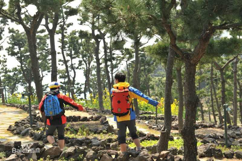 最优质郑恩表()生活照