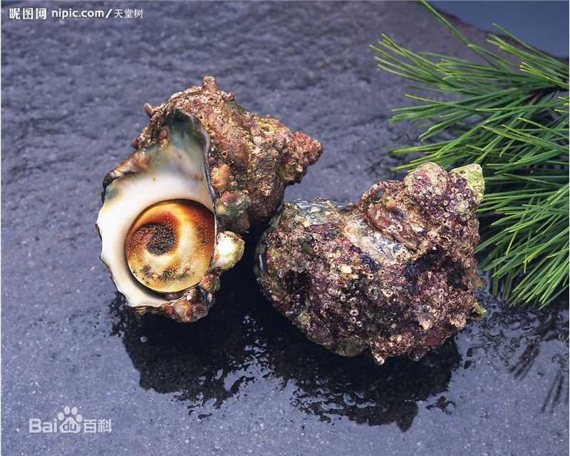 精选金孝珍(，Kim Hyo-Jin)