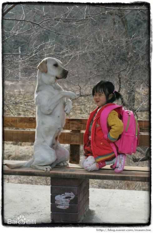 最全金香奇(，Kim Hyang Gi)精彩图册