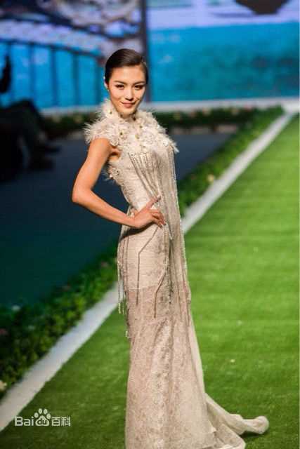 赵茜(Candice Zhao)变形金刚4首映礼前后照片