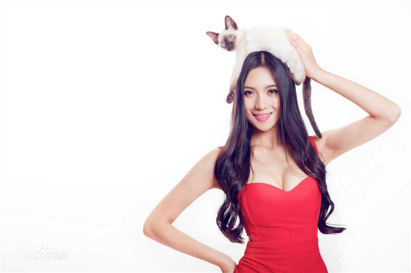 赵茜(Candice Zhao)最新时尚壁纸