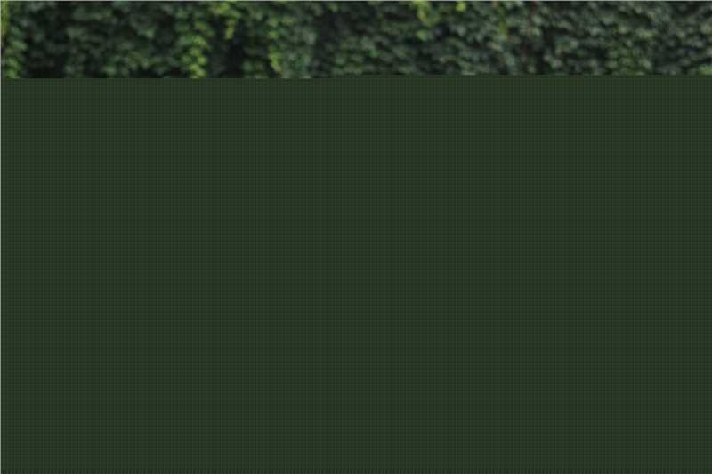 高宇阳(Kevin)酷爸俏妈 高清剧照