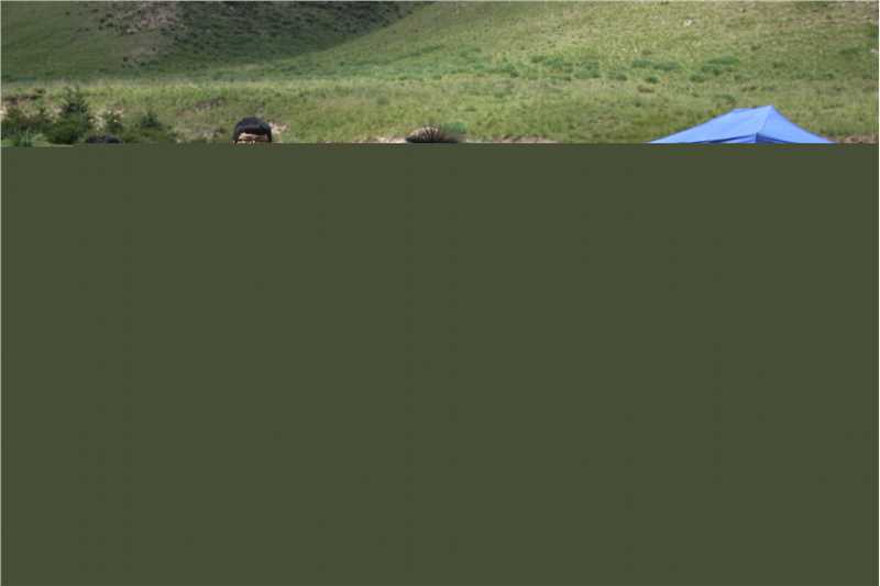 高宇阳(Kevin)射雕英雄传最全剧照