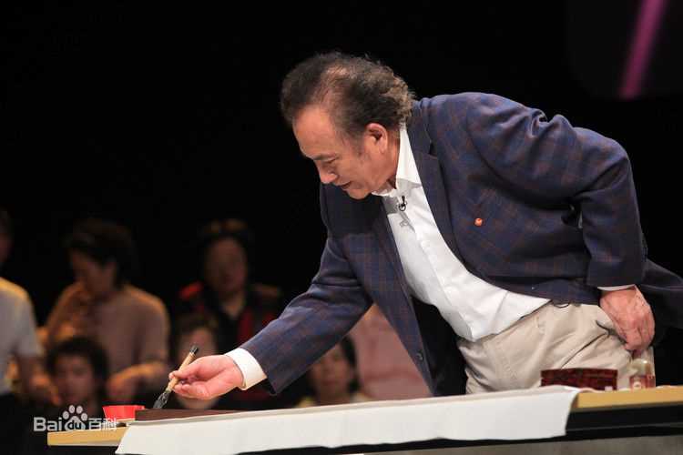 杨在葆及夫人座客北京电视台图片图集