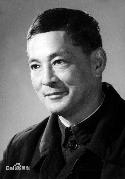 陈怀皑前后照片