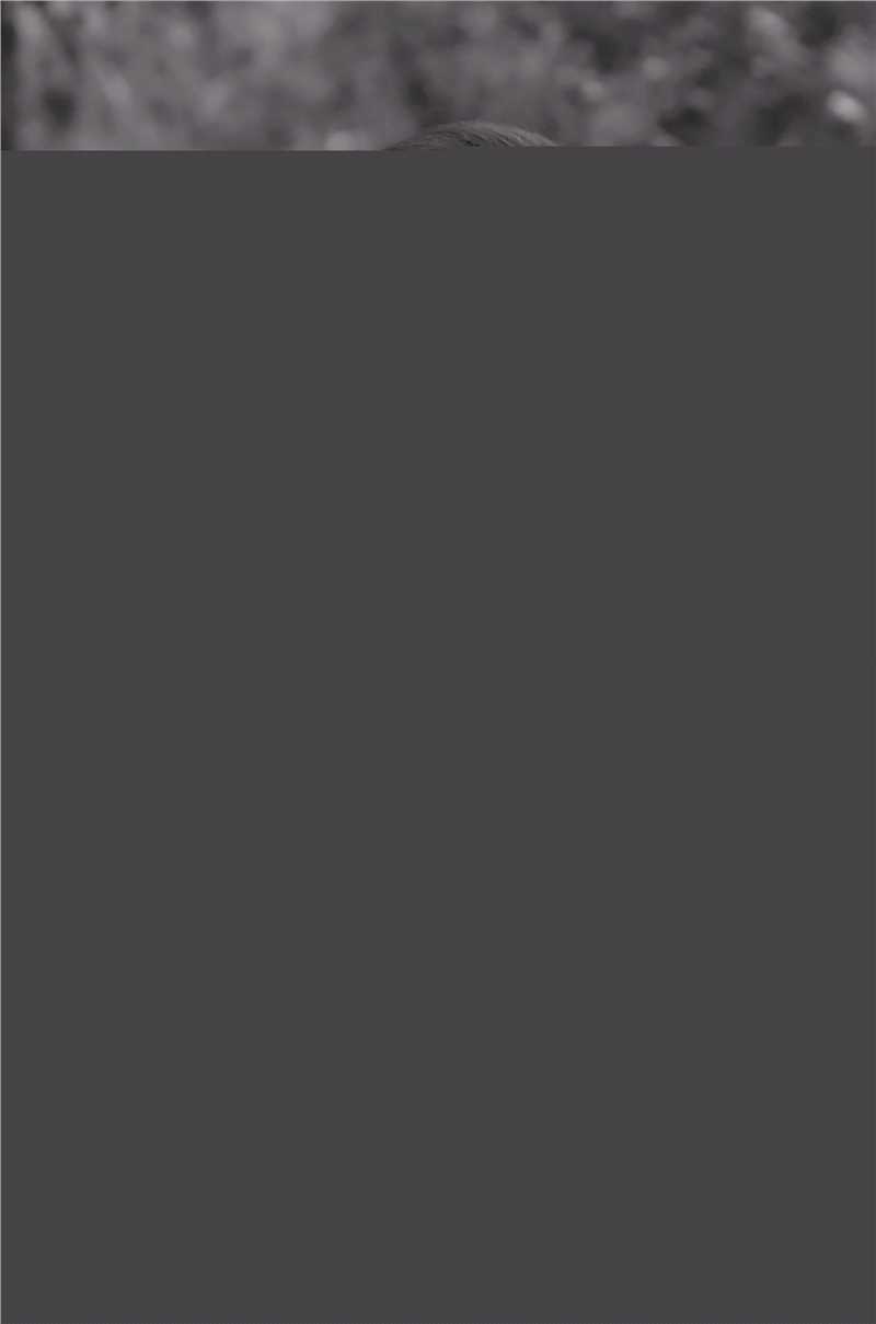 宋睿最新集壁纸