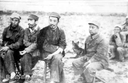 最全刘景范壁纸