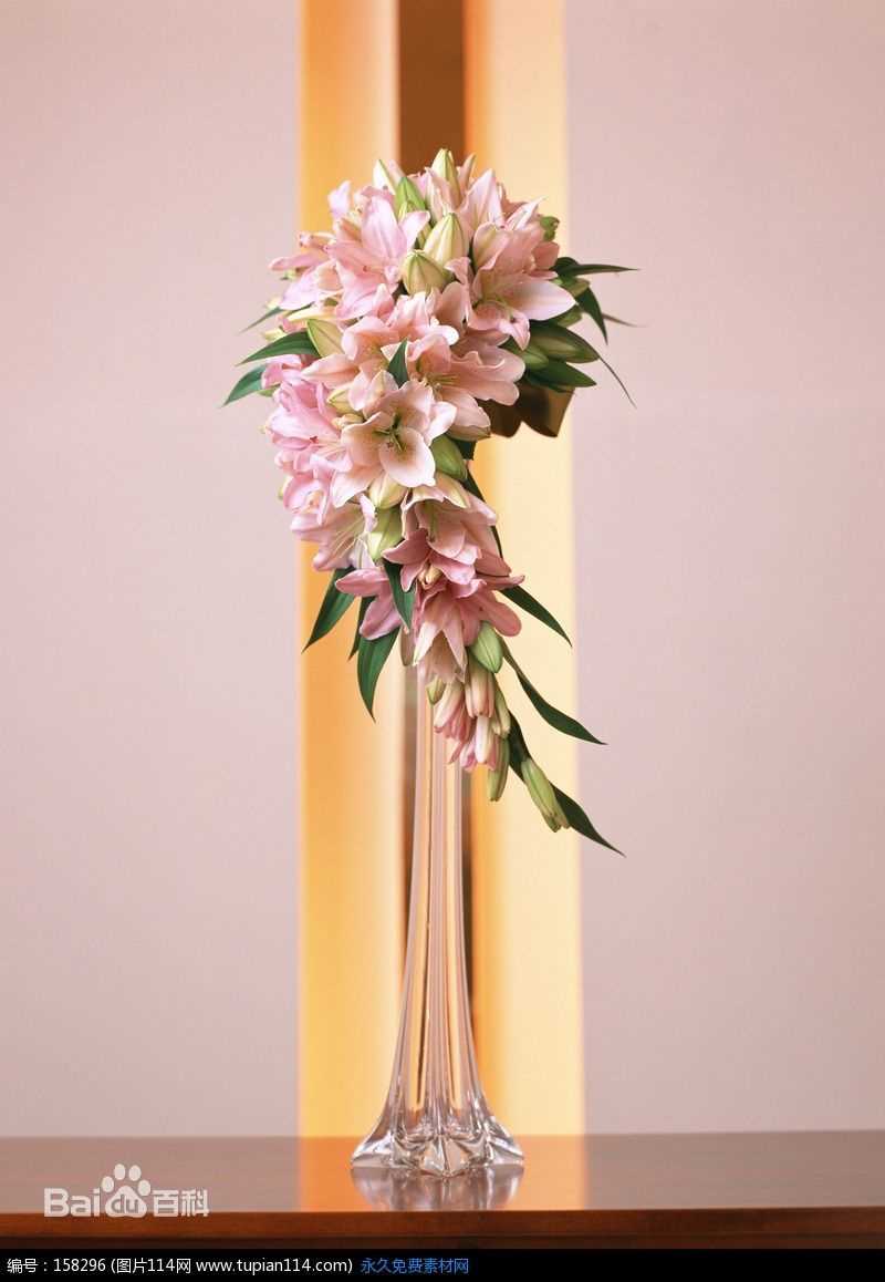 康群智生活中的老师壁纸壁纸