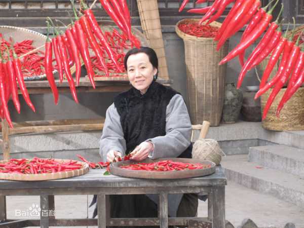 康群智高清剧照