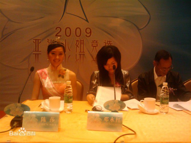 陈莎2008亚姐壁纸壁纸