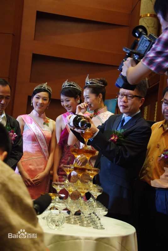 陈莎2008亚姐壁纸壁纸