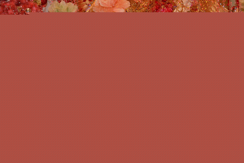 最全棒棒堂(LOLLIPOP)精彩图册