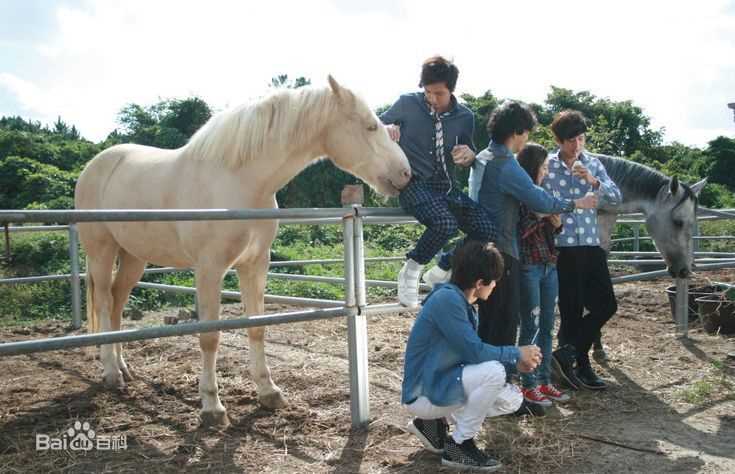 棒棒堂(LOLLIPOP)in韩国济州岛拍摄新MV前后照片