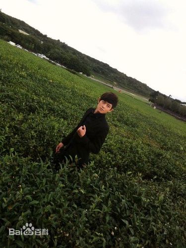 棒棒堂(LOLLIPOP)in韩国济州岛拍摄新MV前后照片